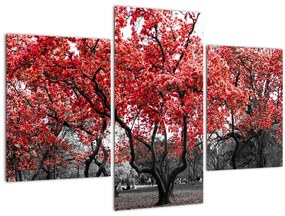 Kép - vörös fák, Central Park, New York (90x60 cm)