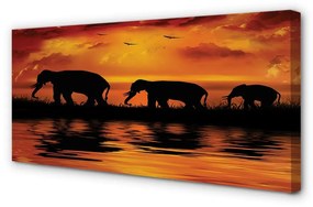 Canvas képek West Lake elefántok 100x50 cm