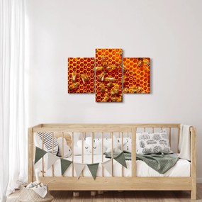 Kép - Méhsejtes (90x60 cm)