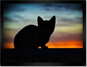 Poszterek keretben 40x30 Búvó cica