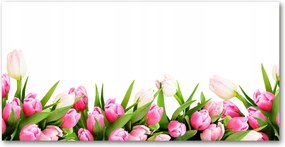 Fotótapéta üvegfalra Rózsaszín tulipánok 140x70