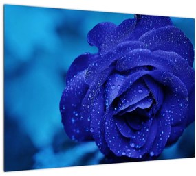 Kék rózsa képe (üvegen) (70x50 cm)