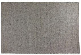 Szürke gyapjú szőnyeg 340x240 cm Auckland - Rowico