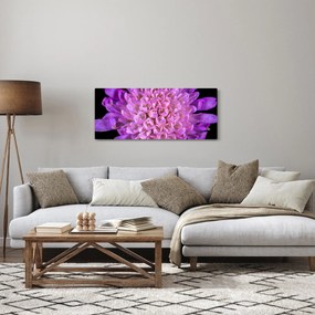 Részletes virágkép (120x50 cm)