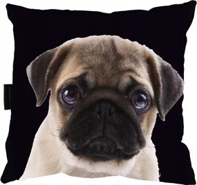 Mopsz Kutyapárna Mopsz 40x40 Ajándék alváshoz