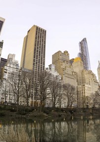 Poszter 29,7x42cm Központi park Manhattan panorámával 3, Assaf Frank