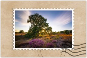 Poszterek 90x60 Tájkép Látvány