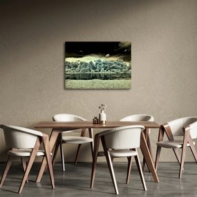 A víz felszínének képe (70x50 cm)
