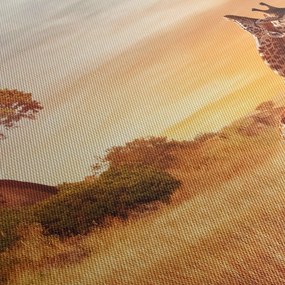 Kép - Zsiráfok Afrikában (90x60 cm)