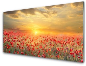 Üvegfotó Sun Meadow Poppy Flowers 120x60cm 2 fogas