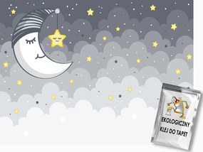 Fotótapéta Flizelina Hold Csillagok Szürke Gyerekszoba 200x140 ragasztó