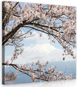 Vászonkép 40x40 Virágzó cseresznye tavasz hegy hó finom nyugalom természet
