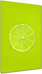 Vászonkép 80x120 Lime-lime