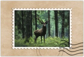 Poszterek 60x40 Szarvas Erdő Tájkép