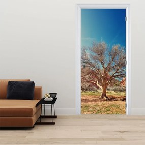 Fotótapéta ajtóra - Fa a sivatagban (95x205cm)