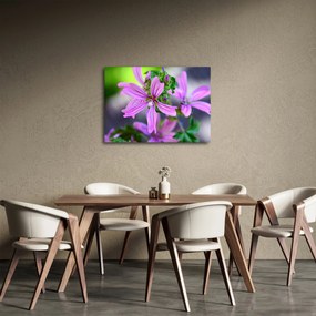 Részletes virágkép (70x50 cm)