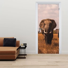 Fotótapéta ajtóra - Az elefánt érkezése (95x205cm)