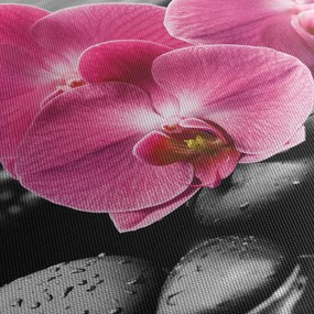Kép - Rózsaszín orchideák (120x50 cm)