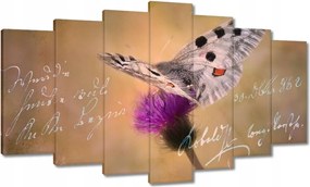 Képek 140x80 Szeretem a pillangókat