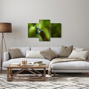 Páva képe (90x60 cm)