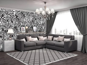 Fotótapéta - Zebra (152,5x104 cm)