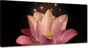 Vászonkép 115x55 Rózsaszín lótuszvirág