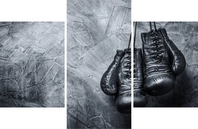Kép - Bokszkesztyű (90x60 cm)