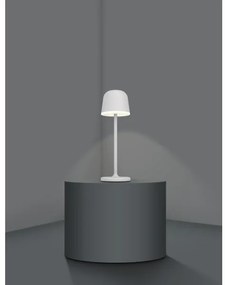 Eglo 900458- LED dimmelhető kültéri lámpa MANNERA 2,2W/5V 1800 mAh szürke IP54