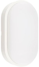 LED Kültéri mennyezeti lámpa LED/12W/230V 3000/4000/6500K IP65 fehér