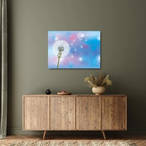 Kép - Pitypang a szélben (üvegen) (70x50 cm)