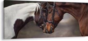 Kép - Szerelmes lovak (120x50 cm)