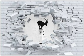 Poszterek 60x40 Kozica Banksy Hegyi gazella Nincs magánélet Falfestmény