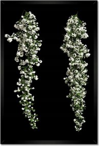 Poszter keretben 40x60 Fehér virágok Bugenwilla