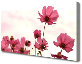 Vászonkép nyomtatás Virág növény természet 125x50 cm