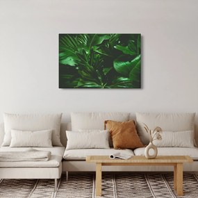Kép - Pálmalevél (90x60 cm)
