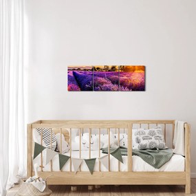 A levendula mező képe, Provence (órával) (90x30 cm)
