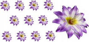 12 X Margaretka mesterséges csomózó fej Mesterséges Virágok Margaretka