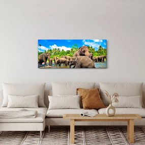 Kép - Elefántok, Sri Lanka (120x50 cm)