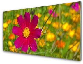 Üvegkép Természet virág növény 100x50 cm