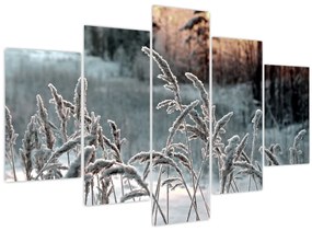 Kép - Fagyott rét (150x105 cm)
