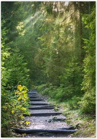 Poszterek 70x100 Tájkép