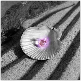 Poszterek 100x100 Kagyló és gyöngy Homok