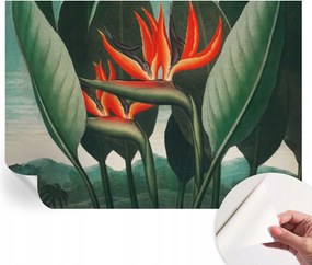 Matt öntapadós fotótapéta Falra Egzotikus virágok 208x146 cm