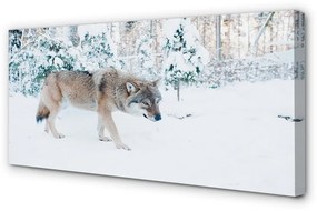 Canvas képek Wolf téli erdőben 125x50 cm