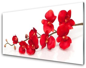 Akrilkép virágok növények 140x70 cm
