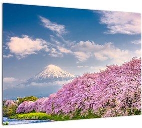 Kép - Japán tavaszi táj (üvegen) (70x50 cm)