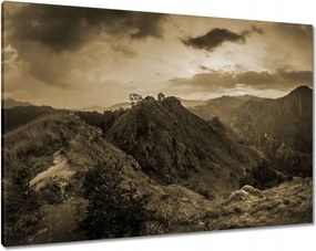 Vászonképek 100x70 Barna tájkép Tájkép