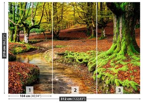 Fotótapéta erdő ősszel 104x70 cm