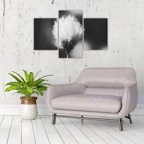 Kép - Fekete-fehér pamutfű (90x60 cm)