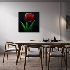 Kép tulipán virág éjjel